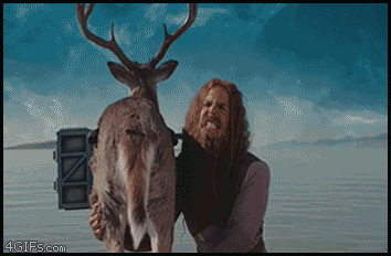 Deer Cannon